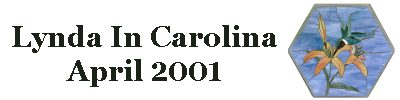 Lynda In Carolina